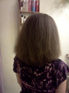 The blow-dry poof from the back